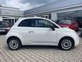 Fiat 500 1.0 Klima*Carplay*Einparkhilfe Wit - thumbnail 7