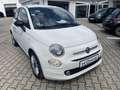 Fiat 500 1.0 Klima*Carplay*Einparkhilfe Wit - thumbnail 8