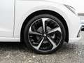 SEAT Ibiza 1.0 TSI FR DSG KAM LED SHZ ACC APP KESS Weiß - thumbnail 5