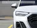 Audi Q5 50 TFSI e quattro S tronic S line Matrix-LED Weiß - thumbnail 7