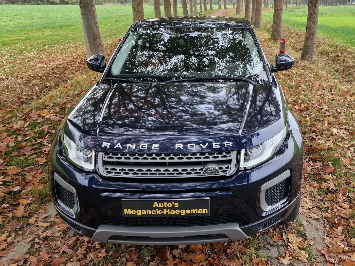 Land Rover Range Rover Evoque 2.0 TD4 4WD SE Dynamic Kék - 1