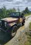 Jeep CJ-7 golden eagle 5.0 V8 - thumbnail 9