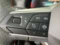 SEAT Ibiza FR Edition 1.0 TSI Schwarz - thumbnail 13