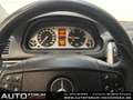 Mercedes-Benz B 180 CDI Klima AHK TÜV NEU Blanc - thumbnail 14