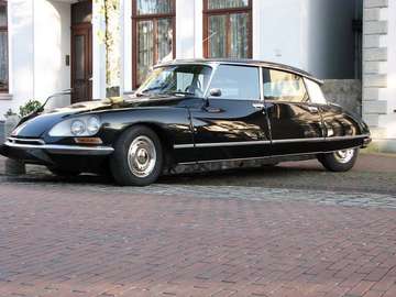 Pallas 20