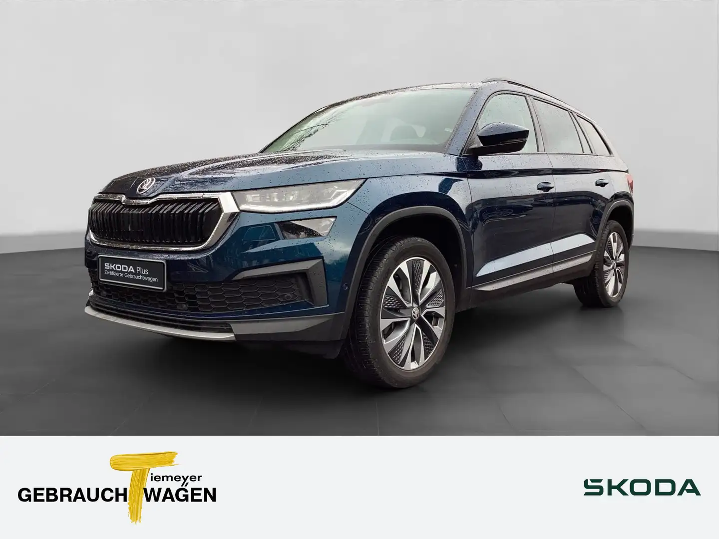 Skoda Kodiaq 2.0 TDI DSG 4x4 TOUR PANO LM19 MATRIX ASS Blau - 1