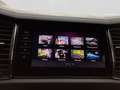 Skoda Kodiaq 2.0 TDI DSG 4x4 TOUR PANO LM19 MATRIX ASS Blau - thumbnail 16