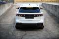 Volkswagen Tiguan Tiguan 2.0 TDI  R-Line DSG / CUIR / IQ LIGHT Weiß - thumbnail 4