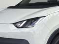 BYD Dolphin Surf 43,2 kWh Boost Österreich Paket Weiß - thumbnail 7