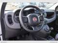 Fiat Panda 1.3 MJT S&S Pop Van 2 posti Euro 6B Fehér - thumbnail 7