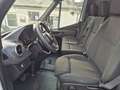 Mercedes-Benz Sprinter 315 KühlKasten*Frischdienst*9G-Tronic* Blanc - thumbnail 14