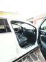 Kia ProCeed / pro_cee'd 1.5 t-gdi mhev GT Line Plus 160cv dct Bianco - thumbnail 7