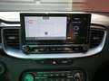 Kia ProCeed / pro_cee'd 1.5 t-gdi mhev GT Line Plus 160cv dct Bianco - thumbnail 13