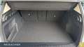 BMW X1 xDrive 20d Navi AHK adLED PDC SitzHz 17"LM Grün - thumbnail 9