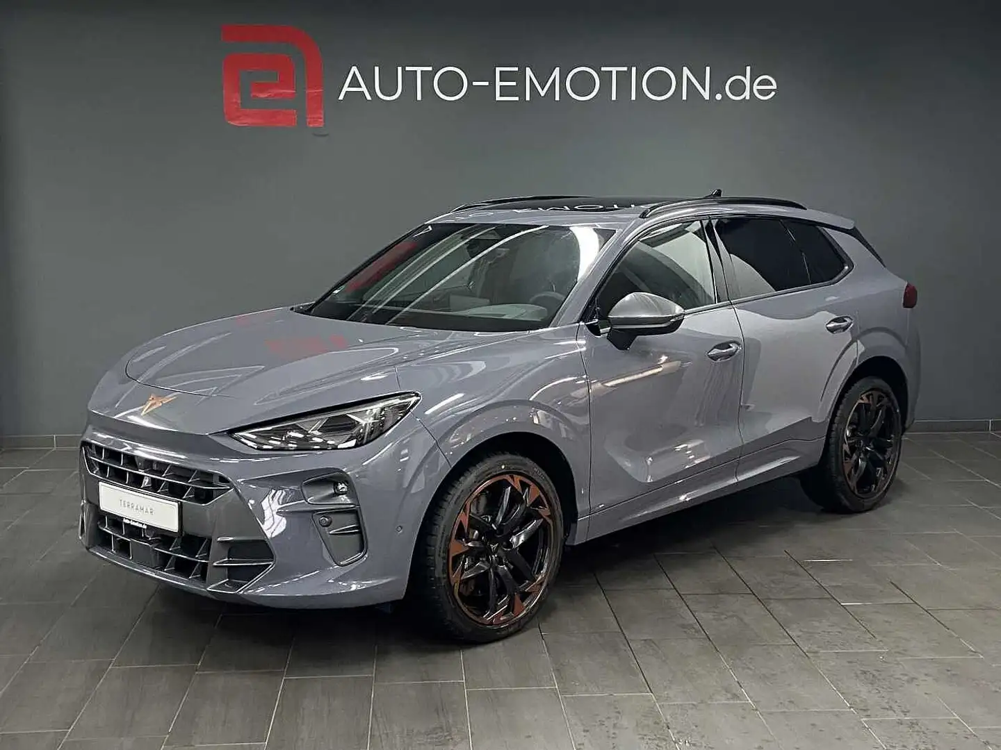 CUPRA Terramar 2.0 TSI 4Drive DSG VZ Grau - 1