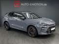 CUPRA Terramar 2.0 TSI 4Drive DSG VZ Grau - thumbnail 2