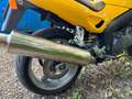 Triumph Sprint RS Giallo - thumbnail 3