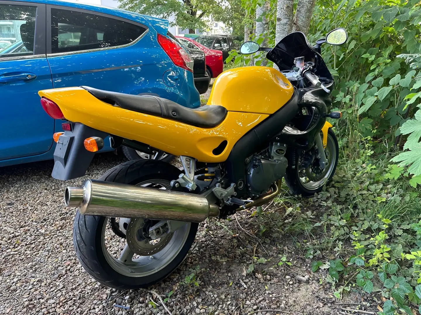 Triumph Sprint RS Jaune - 2