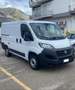 Fiat Ducato CH1 Bianco - thumbnail 2