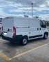 Fiat Ducato CH1 Bianco - thumbnail 4