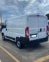 Fiat Ducato CH1 Bianco - thumbnail 3