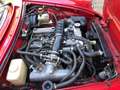 Alfa Romeo Spider ALFA ROMEO DUETTO SPIDER Rot - thumbnail 29