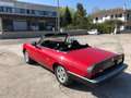 Alfa Romeo Spider ALFA ROMEO DUETTO SPIDER Rot - thumbnail 2
