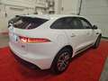 Jaguar F-Pace 2.0d i4 Portfolio awd 180cv auto Weiß - thumbnail 4
