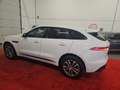 Jaguar F-Pace 2.0d i4 Portfolio awd 180cv auto Weiß - thumbnail 14