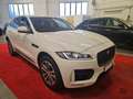 Jaguar F-Pace 2.0d i4 Portfolio awd 180cv auto Weiß - thumbnail 3