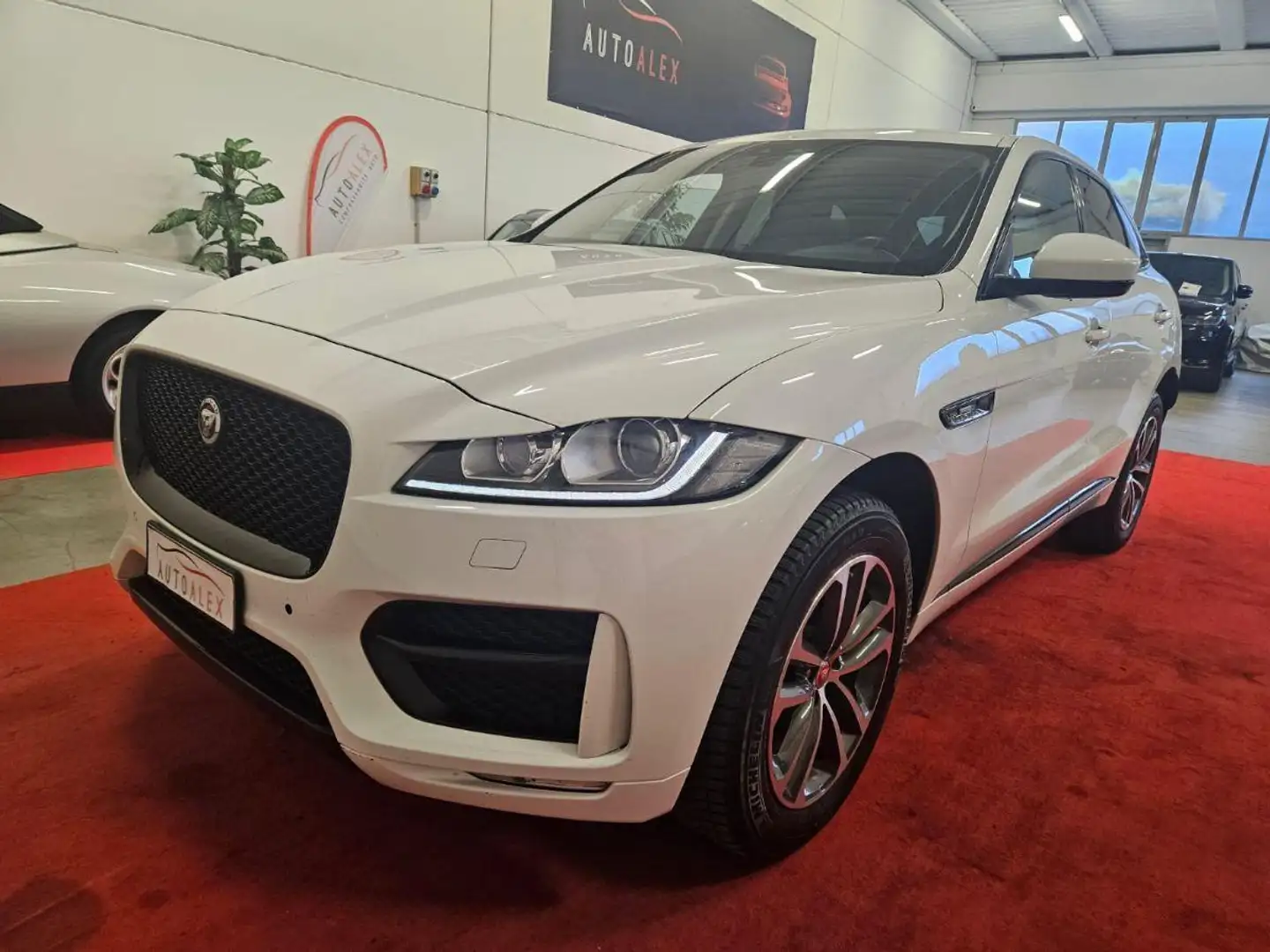 Jaguar F-Pace 2.0d i4 Portfolio awd 180cv auto Weiß - 1