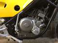 Gilera KZ Amarillo - thumbnail 5