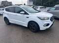 Ford Kuga 2,0 TDCi ST-Line Powershift Aut. AWD Weiß - thumbnail 4
