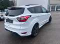 Ford Kuga 2,0 TDCi ST-Line Powershift Aut. AWD Weiß - thumbnail 3
