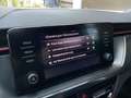 Skoda Scala Monte Carlo TSI DSG Grau - thumbnail 19