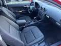 Audi A3 1.9 TDI Ambiente XENON KLIMAAUTO. SITZHZ TEMPOMAT Rojo - thumbnail 11