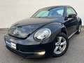 Volkswagen Beetle 1.6 TDI Design NAVI PANORAMA BI-XENON PDC Schwarz - thumbnail 1