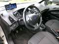 Ford B-Max Titanium *Wechsel Zahnriemen neu* Beige - thumbnail 11