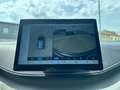 BYD Dolphin Surf Comfort Probefahrten möglich Green - thumbnail 17