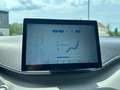 BYD Dolphin Surf Comfort Probefahrten möglich Green - thumbnail 15