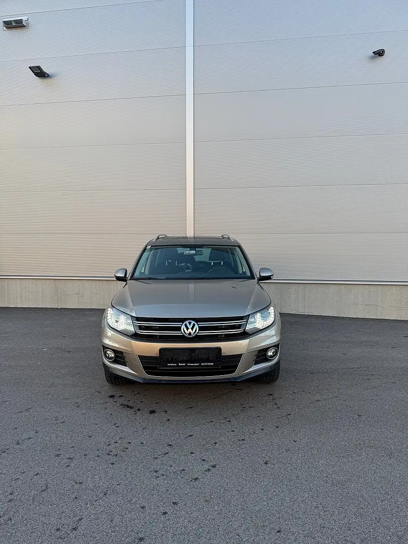 Volkswagen Tiguan 2,0 TDI BMT 4Motion Sky DPF DSG Beige - 2