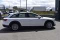 Audi A4 allroad basis Blanc - thumbnail 7