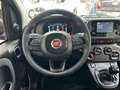 Fiat Panda 4x2 FireFly Hybrid 70 City Life Blau - thumbnail 11