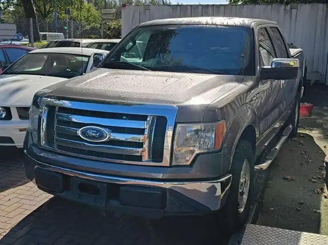 Ford F-150 Quad CAb, Sportauspuff