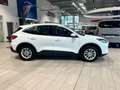 Ford Kuga 2.5 Duratec PHEV Titanium ACC AHK LED Navi Blanc - thumbnail 6