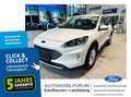 Ford Kuga 2.5 Duratec PHEV Titanium ACC AHK LED Navi Blanc - thumbnail 1