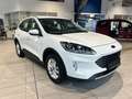 Ford Kuga 2.5 Duratec PHEV Titanium ACC AHK LED Navi Blanc - thumbnail 5