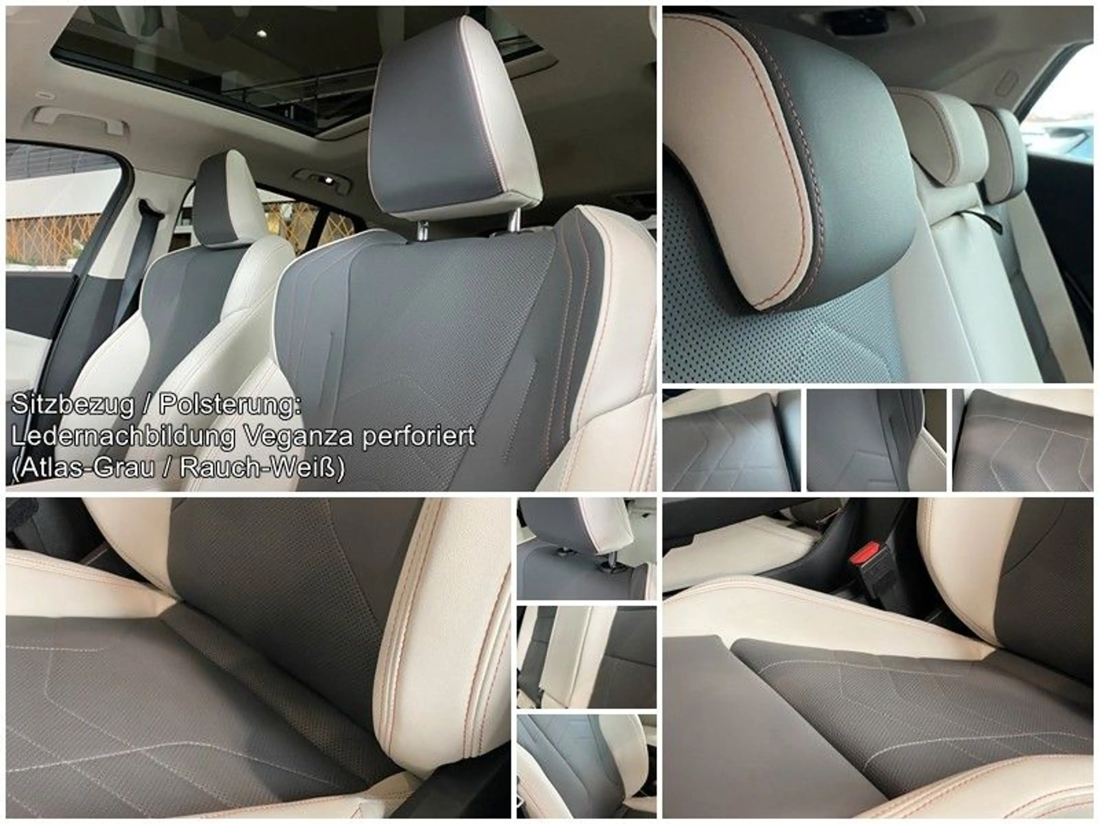 BMW iX2 xDrive30 InnovP Memory Pano H&K ACC AHK 360° — photo 12