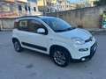 Fiat Panda 1.2 Lounge s&s 69cv my19 - thumbnail 1