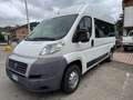 Fiat Ducato PANORAMA - DISABILI - PEDANA - COMANDI VOLANTE Bianco - thumbnail 15